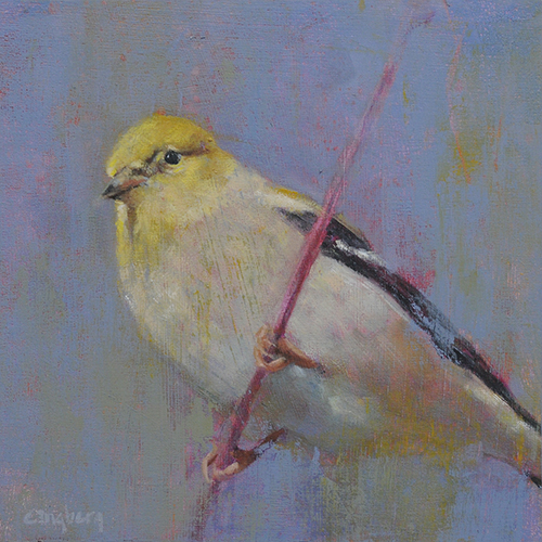 Goldfinch