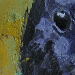 Raven - Detail