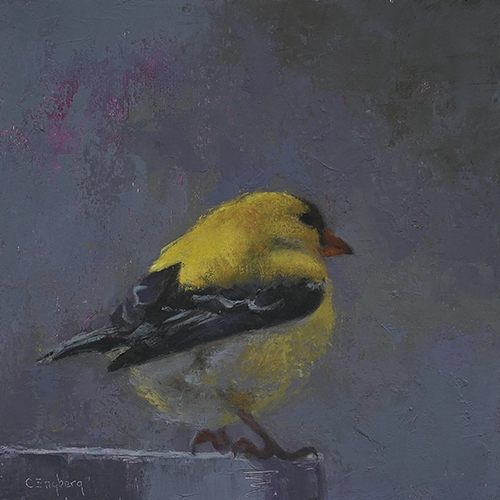 Goldfinch