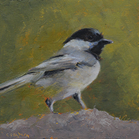 Chickadee